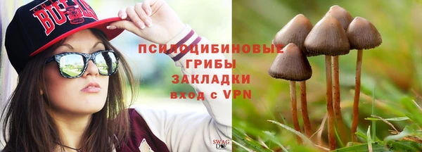прущий лед Вяземский