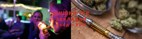 прущий лед Вяземский