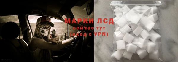 прущий лед Вяземский