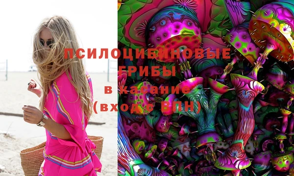 прущий лед Вяземский