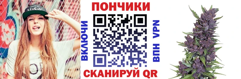 Купить  Стародуб  Шишки марихуана VHQ 